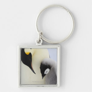 Emperor Penguin looking at chick Keychain