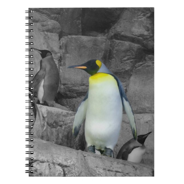 Emperor Penguin Notebook (Front)
