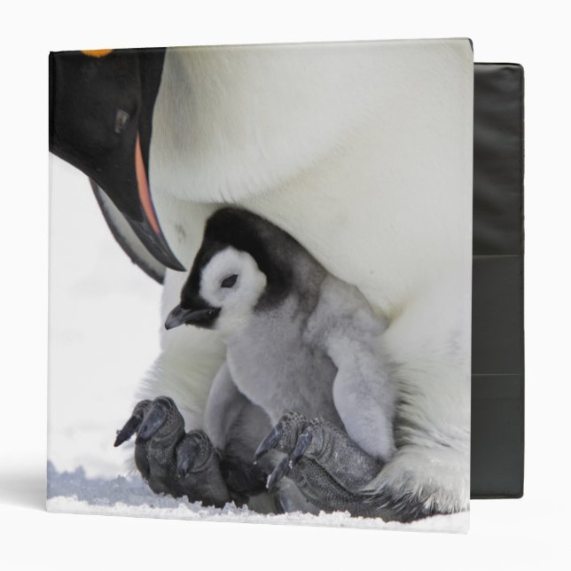 Emperor Penguin | Snow Hill Island Binder (Front/Inside)