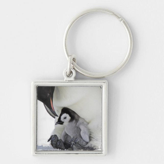 Emperor Penguin | Snow Hill Island Keychain (Front)