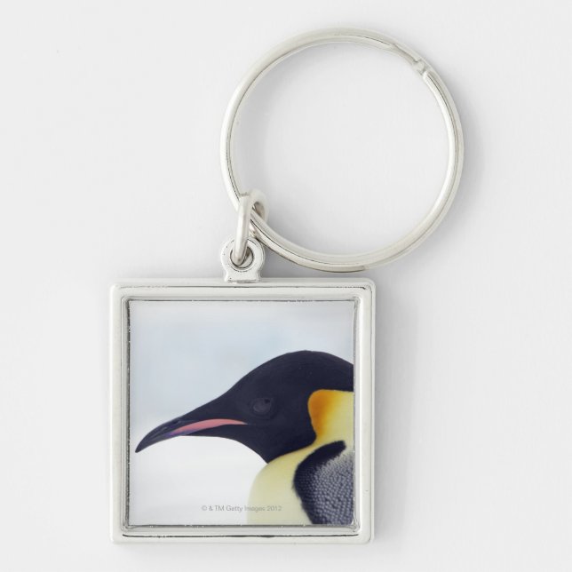 Emperor Penguin, Snow Hill Island Keychain (Front)