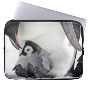 Emperor Penguin Snow Hill Island Laptop Sleeve