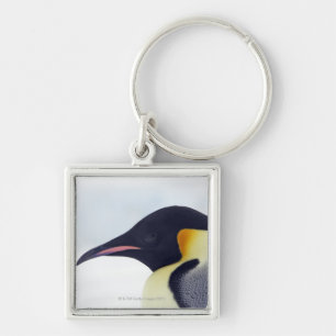 Emperor Penguin, Snow hill island, Weddel Sea Keychain