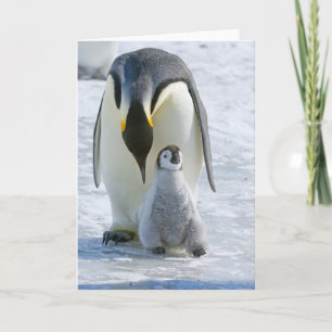 Emperor Penguin with Chick - note card