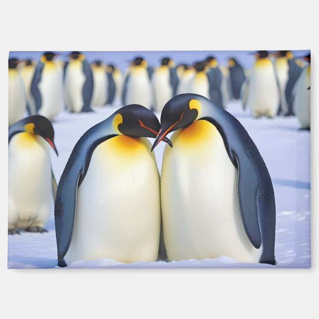Emperor Penguins Animal Nature Wildlife Affection  Magnet (Front)