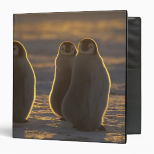 Emperor Penguins Binder