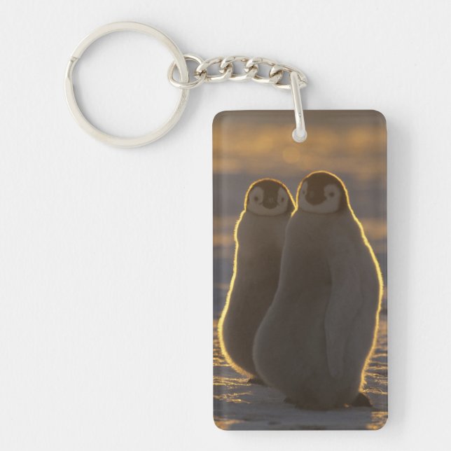 Emperor Penguins Keychain (Front)