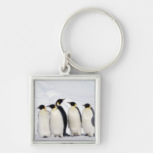 Emperor Penguins Keychain