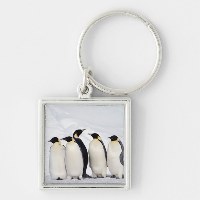 Emperor Penguins Keychain (Front)