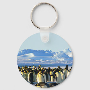 Emperor penguins keychain