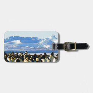 Emperor penguins luggage tag