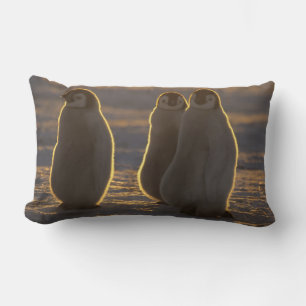 Emperor Penguins Lumbar Pillow