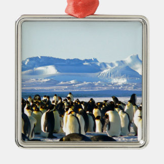 Emperor penguins metal ornament