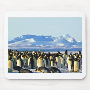 Emperor penguins mouse pad
