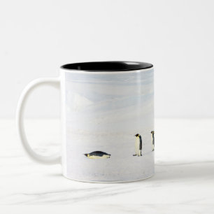 Emperor Penguins on Ice - mug