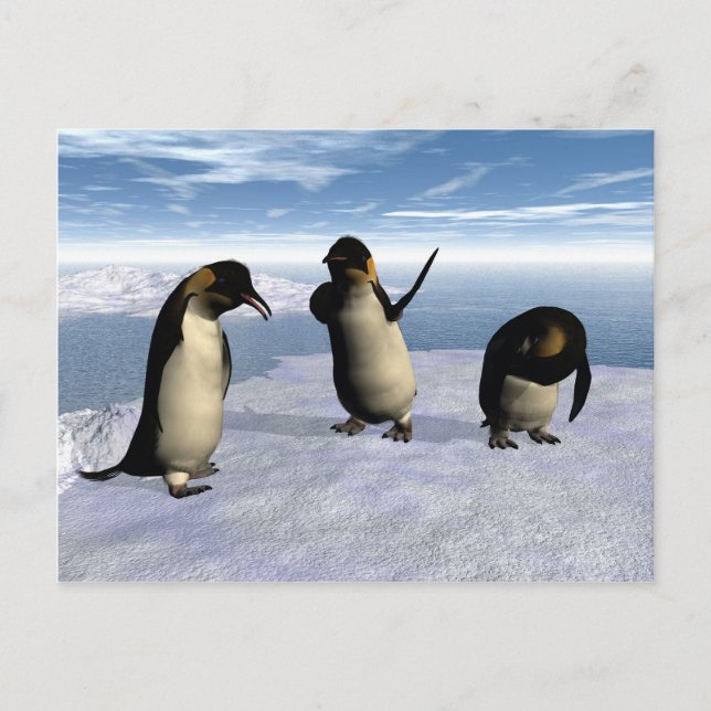 Emperor Penguins Postcard (Front)