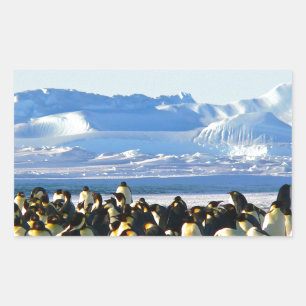 Emperor penguins sticker