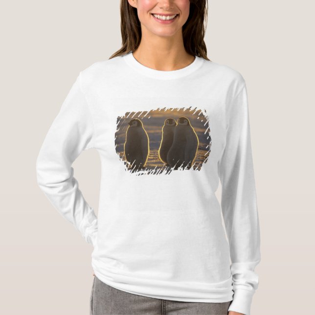 Emperor Penguins T-Shirt (Front)