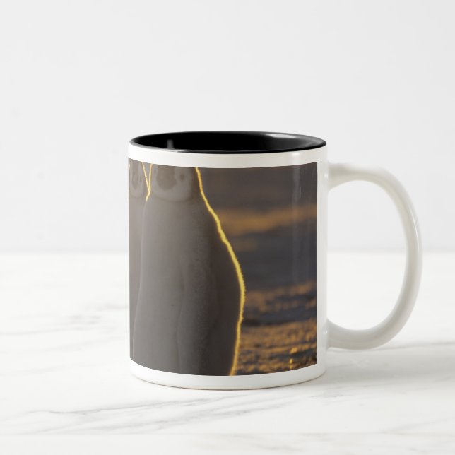 Emperor Penguins Two-Tone Coffee Mug (Right)
