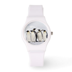 Emperor Penguins Watch