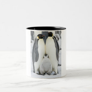 Emperor Penguins with Chick - mug