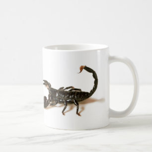 Emperor Scorpion Mug / Cup