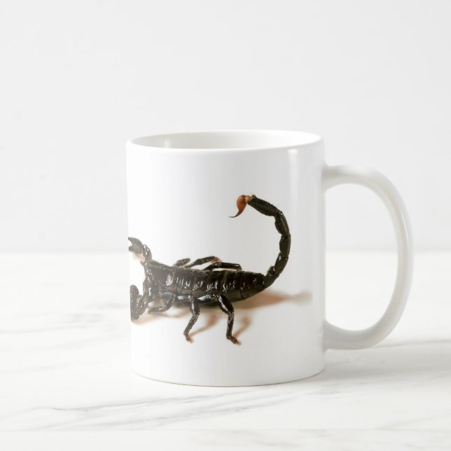 Emperor Scorpion Mug / Cup (Right)