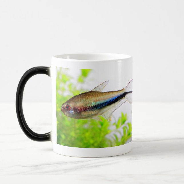 Emperor tetra magic mug (Left)