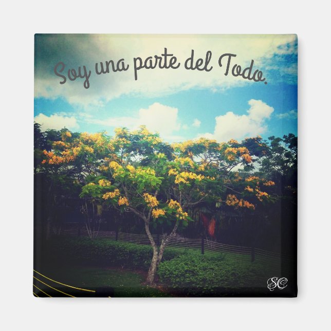 empoderamiento magnet (Front)