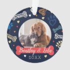 Empreinte de patte et Motif des os | Animal Pet Ph