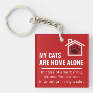 Empreinte de Patte Mes Chats Sont Seuls à la Maiso