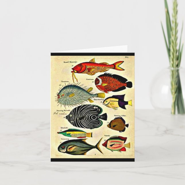 empreinte de poisson (Devant)