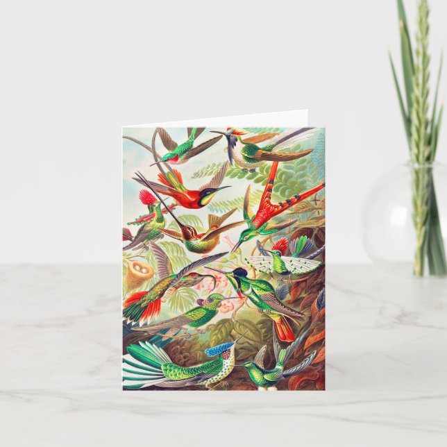 Empreinte des colibris de 1904 (Devant)