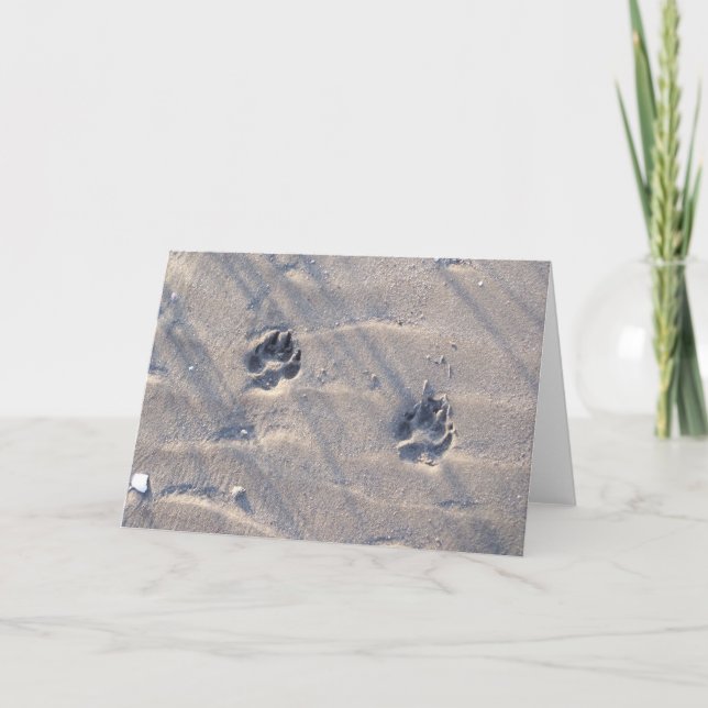 Empreintes dans la carte de sable (Devant)