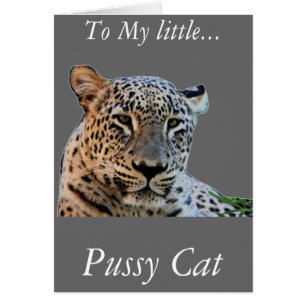 Empreintes de léopard