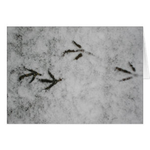 Empreintes De Pied Dans La Neige