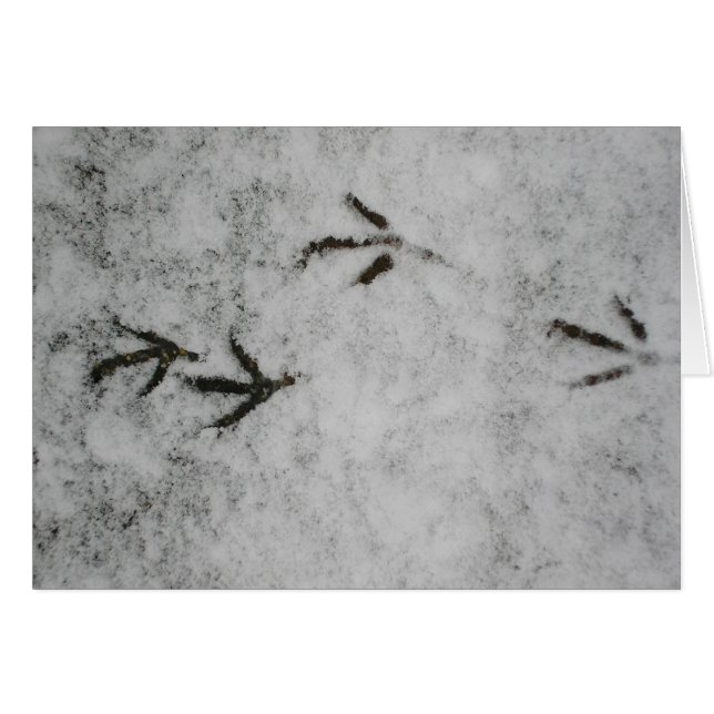 Empreintes De Pied Dans La Neige (Devant horizontal)