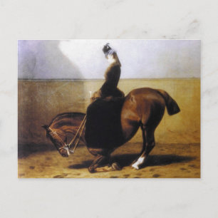 Empress Elisabeth riding horse sidesaddle #027SS Postcard
