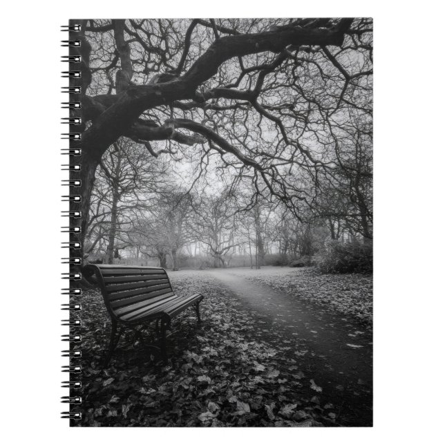 Empty Bench Twisted Trees Path Notebook (Front)