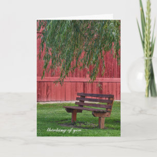 empty bench under willow tree card