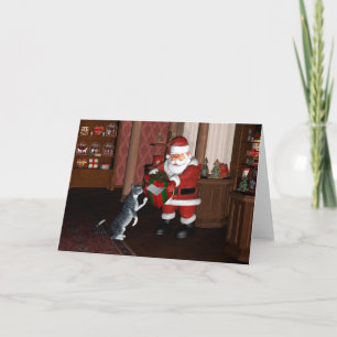 Empty Box For A Grey Housecat Holiday Card