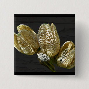 Empty Lily Seed Pods Coordinating Items 2 Inch Square Button