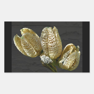 Empty Lily Seed Pods Coordinating Items Sticker