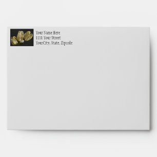 Empty Lily Seed Pods Envelope