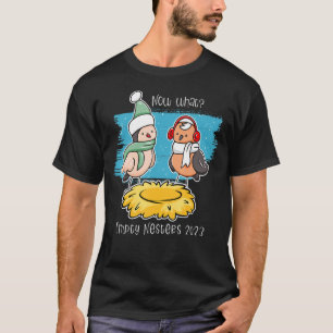Empty Nest Birds Parents Birds 2023 T-Shirt