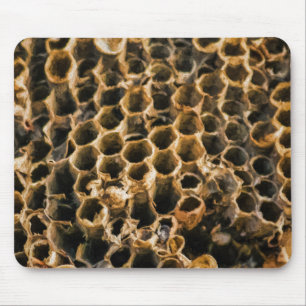 Empty Nest Mouse Pad