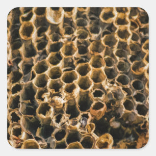 Empty Nest Square Sticker