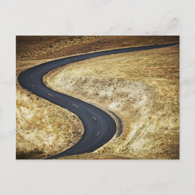 Empty winding paved road postcard (Front)