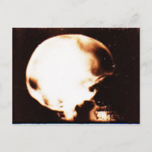 Emptyheaded Postcard