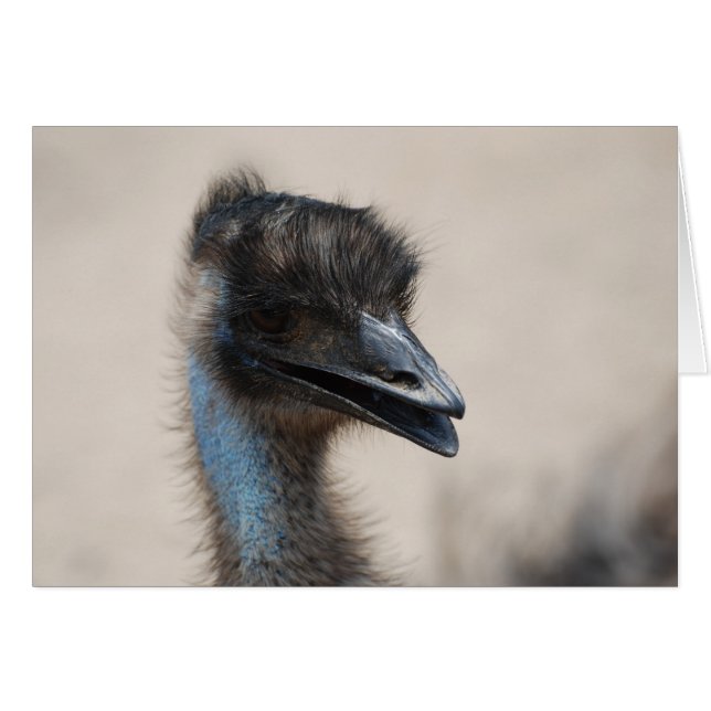 Emu (Devant horizontal)